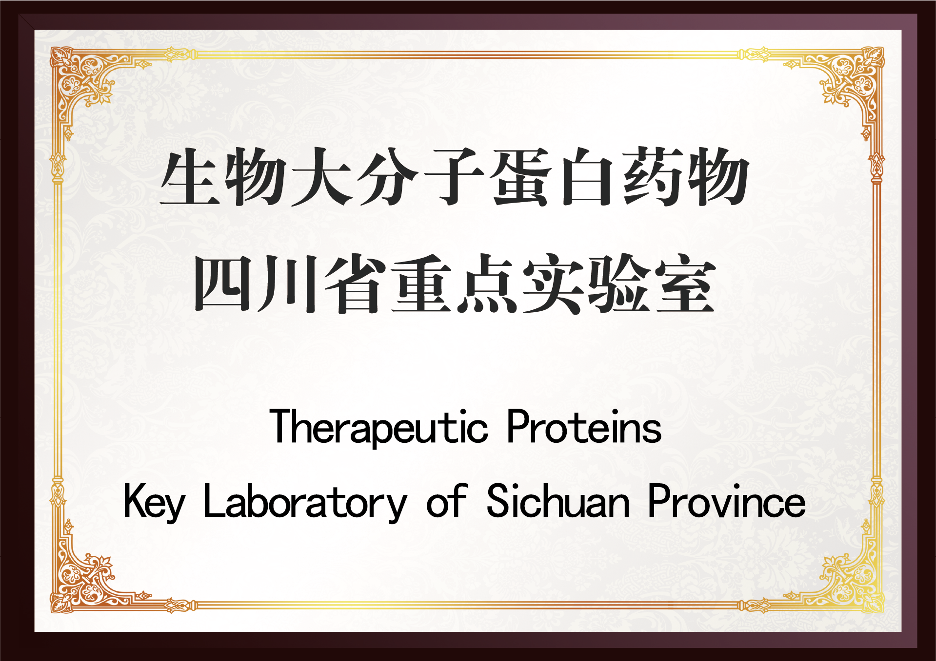 四川省重點(diǎn)實(shí)驗(yàn)室